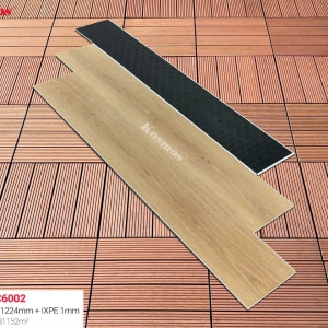 SPC 6002