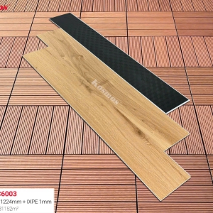 SPC  6003