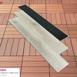 SPC  6004
