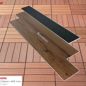 SPC  6006
