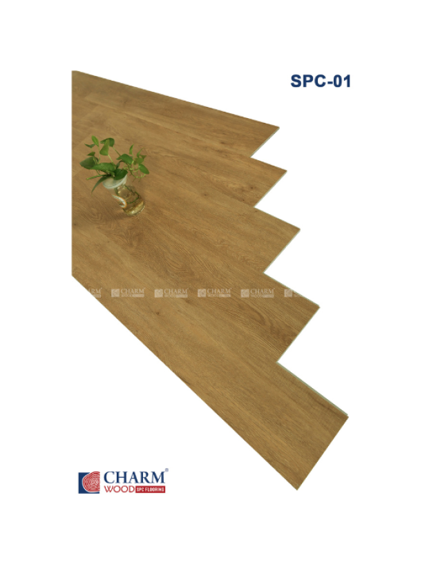 CHARM 6MM SPC 01