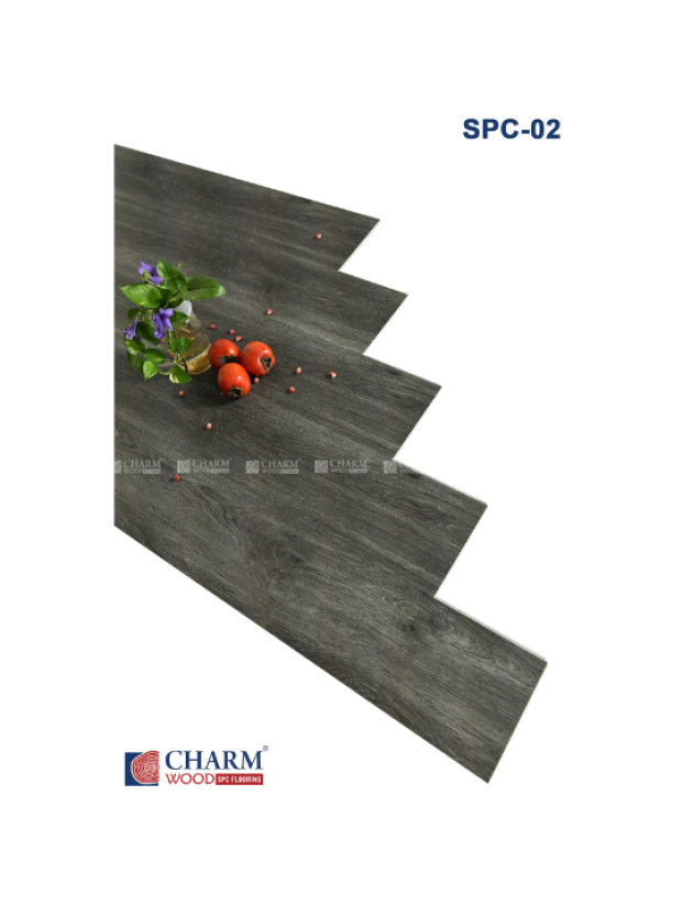 CHARM 6MM SPC 02