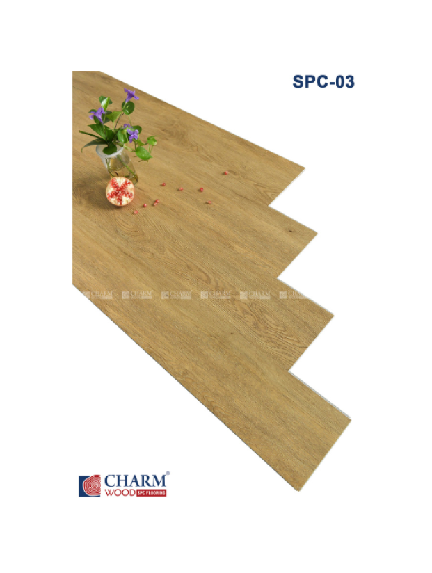CHARM 6MM SPC 03
