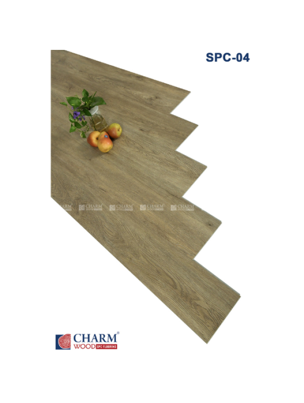 CHARM 6MM SPC 04
