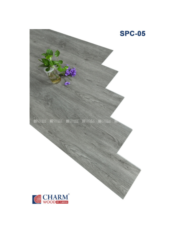 CHARM 6MM SPC 05