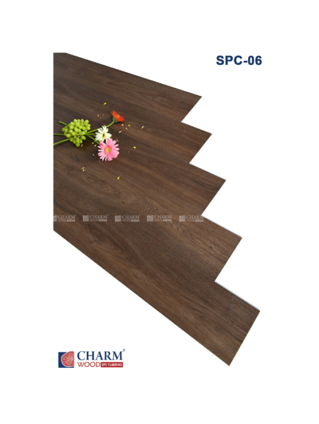 CHARM 6MM SPC 06