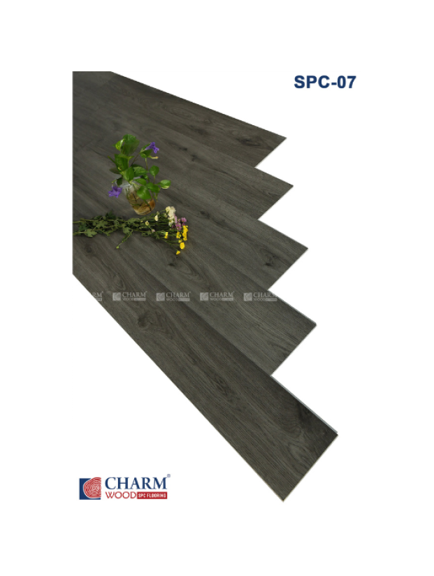 CHARM 6MM SPC 07