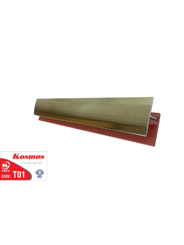 NẸP NHÔM T01
