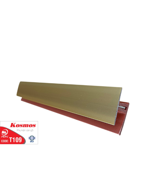 NẸP NHÔM T109