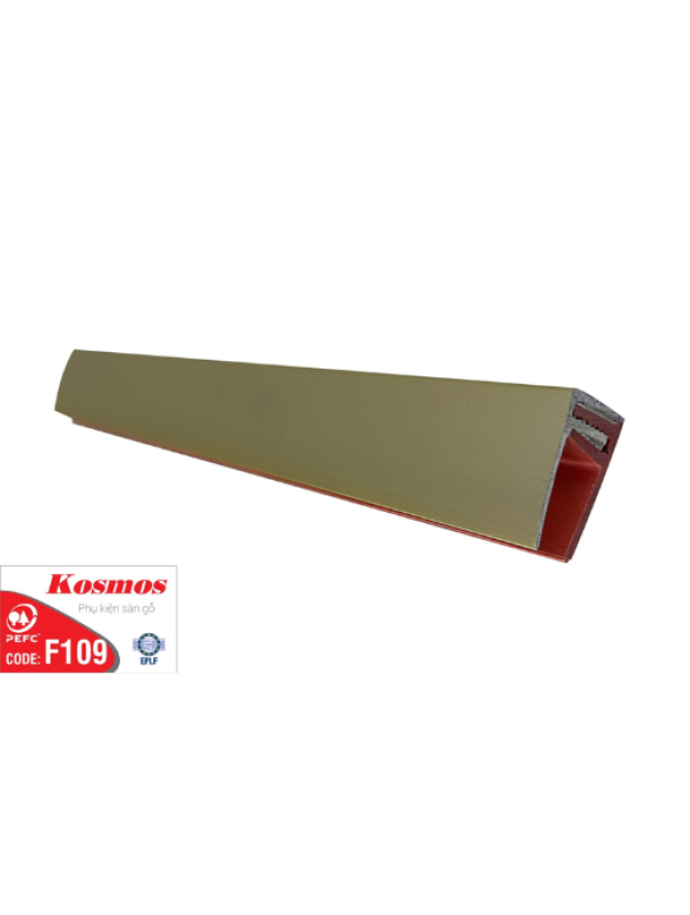 NẸP NHÔM F109
